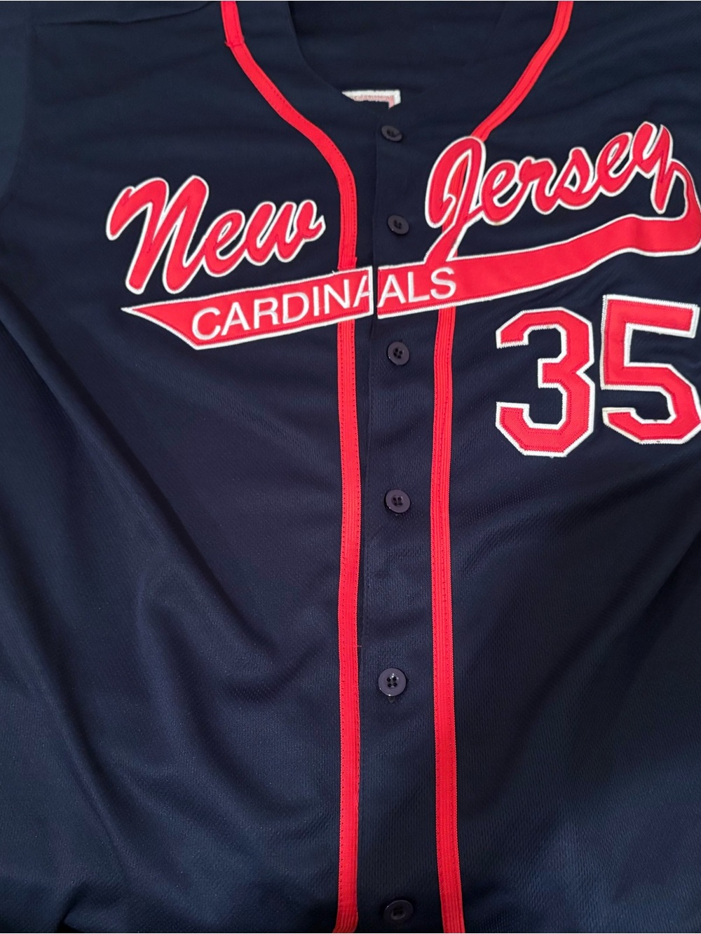 Vintage New Jersey Cardinals Matt Morris Jersey Navy Red Size Large Minors MILB